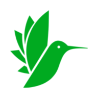 Flashcards.io