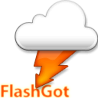 FlashGot