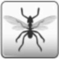 FlyingAnt