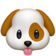 Foods Dogs Can Eat