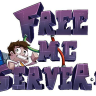 FreeMcServer.net