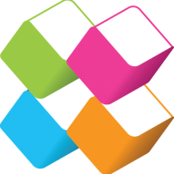 FRISS logo