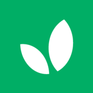 GoSimple logo