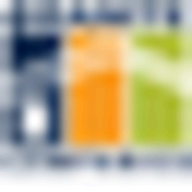 Granite Risk Management logo