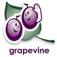 Grapevine Surveys