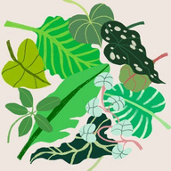 How Many Plants logo