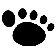 Hyper Cache