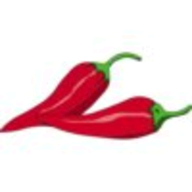 ImgSpice logo