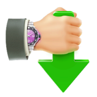 Internet Download Accelerator