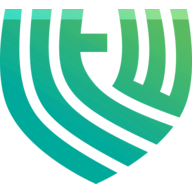 Investing in the Web