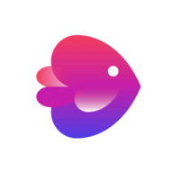 InVideo.io