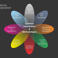 Kamakura Risk Manager
