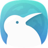Kiwi Browser