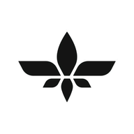 Lilium