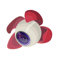 Litchi for DJI Phantom 2