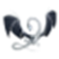 LLVM