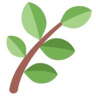 Local Seed Search