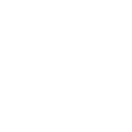 Lucidpic logo