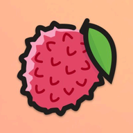 Lychee Slicer logo