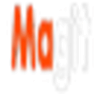 Magit