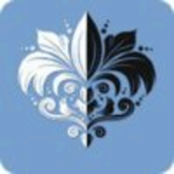 Mandala Mirror Drawing 2020 logo