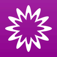MathStudio