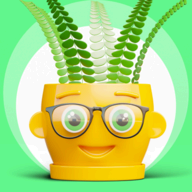 Mentalio App