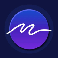 Mindleap logo