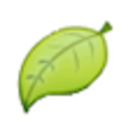namevine