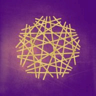 National Network of Abortion Funds logo