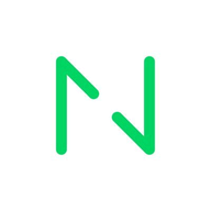 Netguru logo
