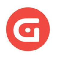 netTerrain Logical logo