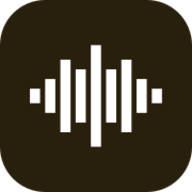 NoisyCamp