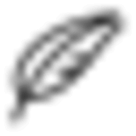 Notenik