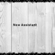Now Assistant