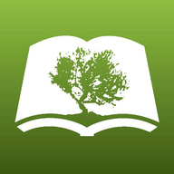 Olive Tree Bible Study