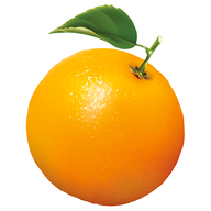 Orange Manager