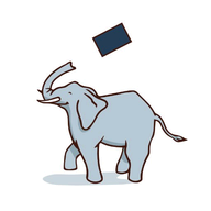 Pachyderm