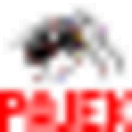 Pajek logo
