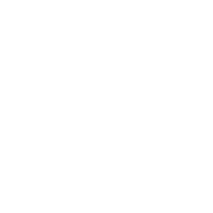 Paloma365