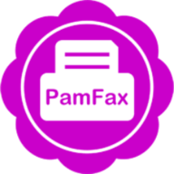 Pamela for Skype