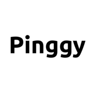 Pinggy.io