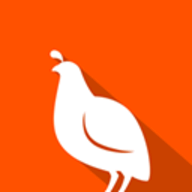 Quail
