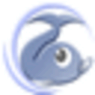 Rapid Typing Tutor