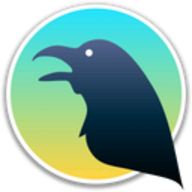 Raven Reader