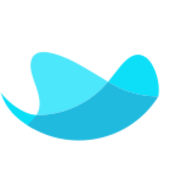 RAYNET CRM