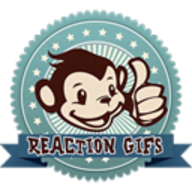 Reaction GIFs