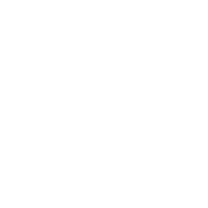 RomsEmulator
