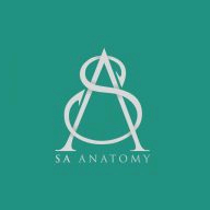SA Anatomy