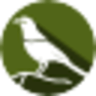 Sandpiper